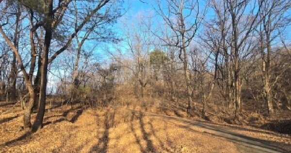 울산광역시 울주군 삼동면 금곡리 산108 목장용지 경매 물건 이미지
