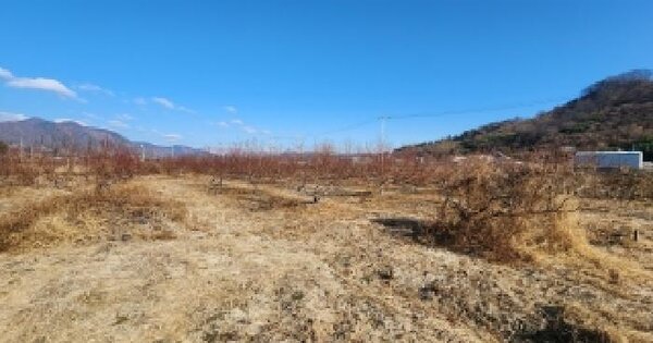 경상남도 창원시 의창구 동읍 본포리 516-9 답 경매 물건 이미지