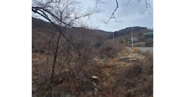 울산광역시 울주군 두서면 인보리 산201-1 임야 경매 물건 이미지