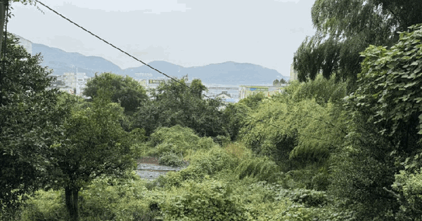 경상남도 거제시 일운면 지세포리 산133-11 임야 경매 물건 이미지