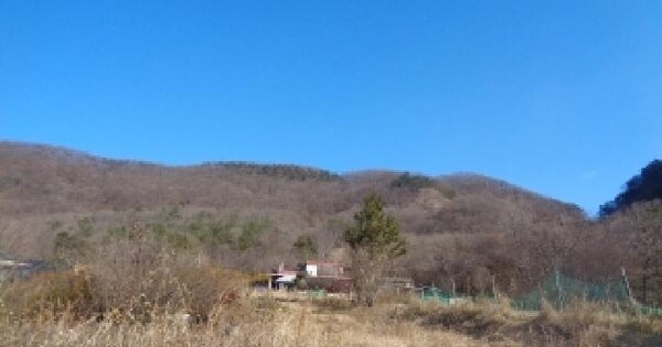 전북특별자치도 진안군 성수면 용포리 45-2 임야 경매 물건 이미지