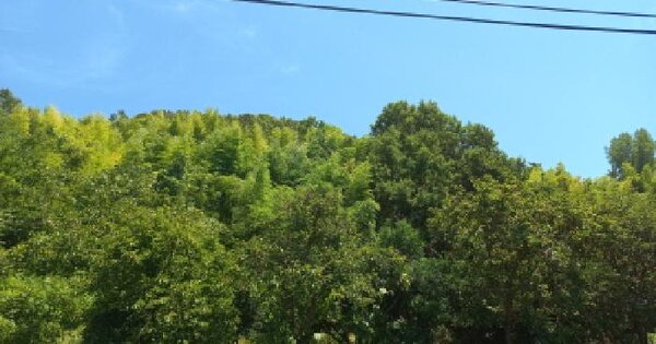 경상남도 거제시 하청면 덕곡리 산28 임야 경매 물건 이미지