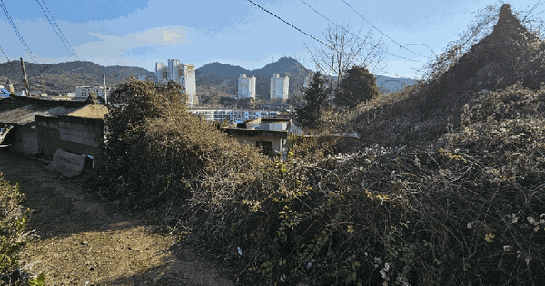 전남광주통합특별시 영광군 영광읍 남천리 25-11 대지 경매 물건 이미지