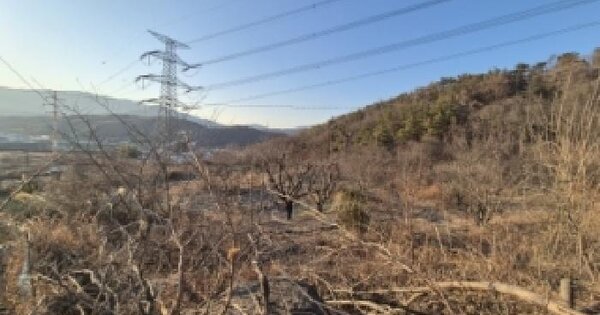 경상북도 경주시 외동읍 모화리 966-4 전 경매 물건 이미지