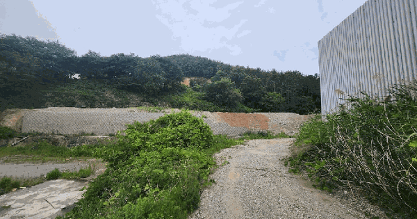 울산광역시 울주군 두서면 서하리 538 답 경매 물건 이미지
