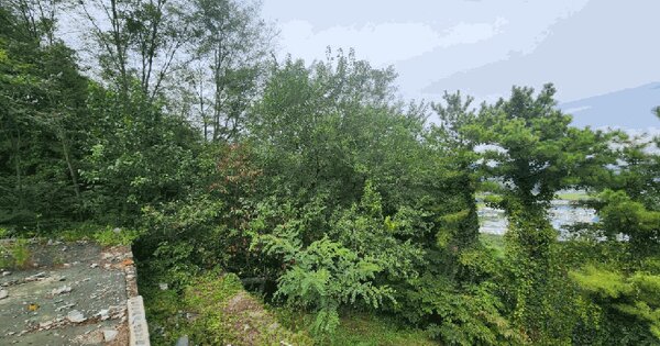 경상남도 창원시 의창구 북면 하천리 산126 임야 경매 물건 이미지