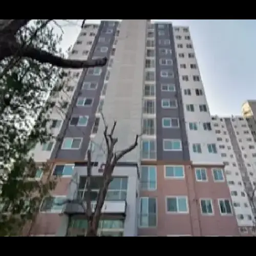 물건 사진
