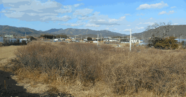 경상북도 포항시 북구 신광면 사정리 810-1 답 경매 물건 이미지