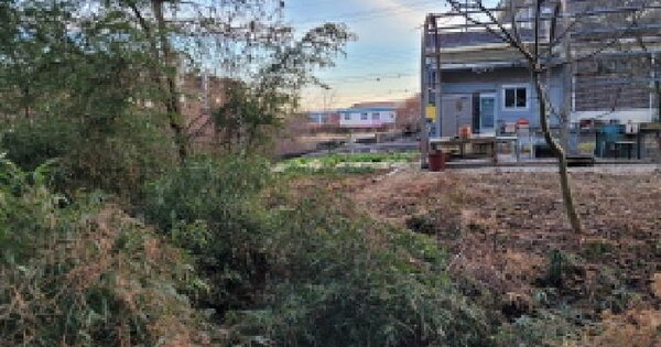 전북특별자치도 익산시 삼기면 오룡리 249-17 전 경매 물건 이미지