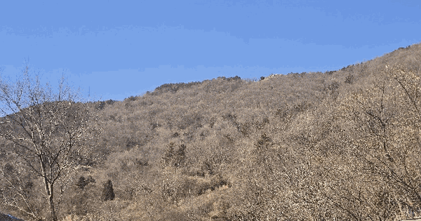 전남광주통합특별시 여수시 덕충동 산91 임야 경매 물건 이미지