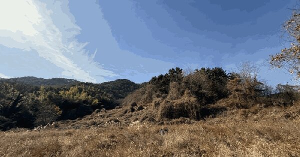 경상남도 거제시 장목면 율천리 293 전 경매 물건 이미지