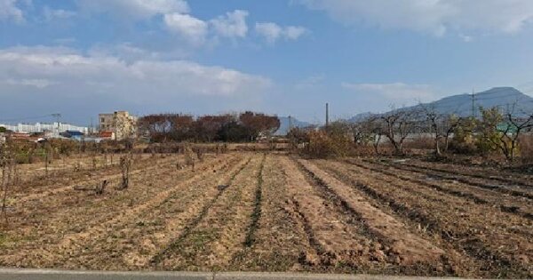 경상남도 사천시 사남면 초전리 728-14 답 경매 물건 이미지