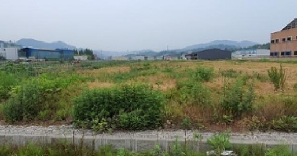 경상남도 김해시 한림면 안하리 2197 답 경매 물건 이미지