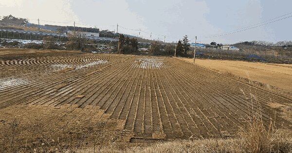 전라남도 장성군 삼서면 보생리 985-9 답 경매 물건 이미지