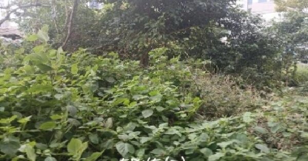 부산광역시 해운대구 우동 554-6 대지 경매 물건 이미지