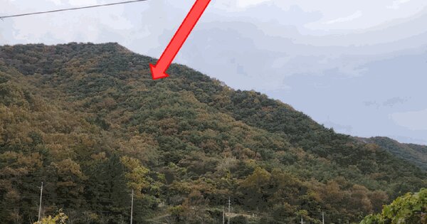 경상남도 고성군 대가면 갈천리 산194-1 임야 경매 물건 이미지
