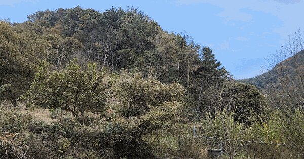 경상남도 고성군 영오면 양산리 산70 임야 경매 물건 이미지