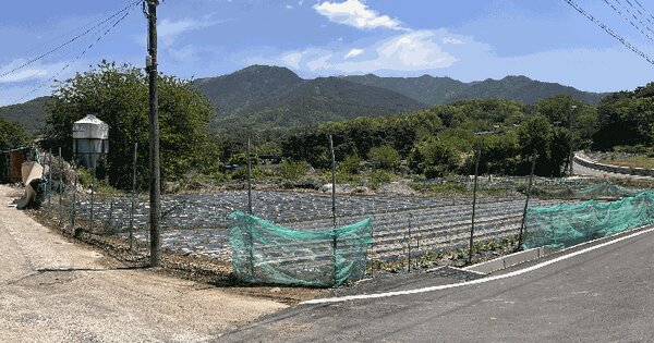 경상남도 창녕군 창녕읍 교리 855-1 전 경매 물건 이미지