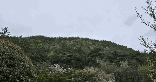 전라남도 강진군 도암면 만덕리 산101 답 경매 물건 이미지