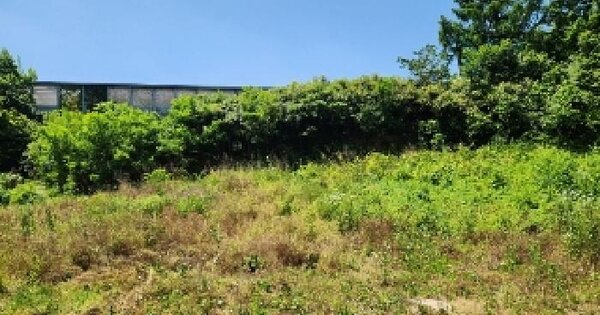 전남광주통합특별시 서구 풍암동 705-6 대지 경매 물건 이미지