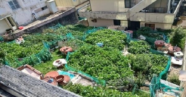 부산광역시 해운대구 재송동 1162-17 임야 경매 물건 이미지