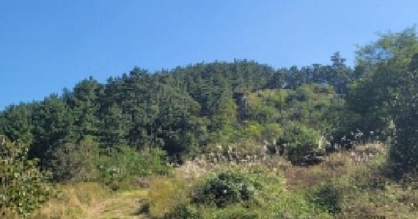 경상남도 거제시 둔덕면 어구리 산9-1 임야 경매 물건 이미지