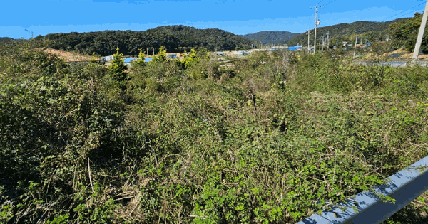경상남도 고성군 마암면 보전리 94-6 전 경매 물건 이미지