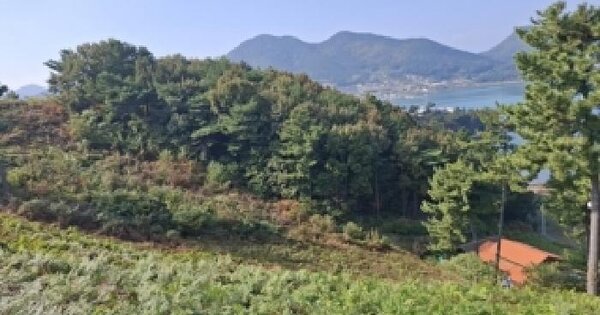 경상남도 남해군 창선면 가인리 산149-25 임야 경매 물건 이미지