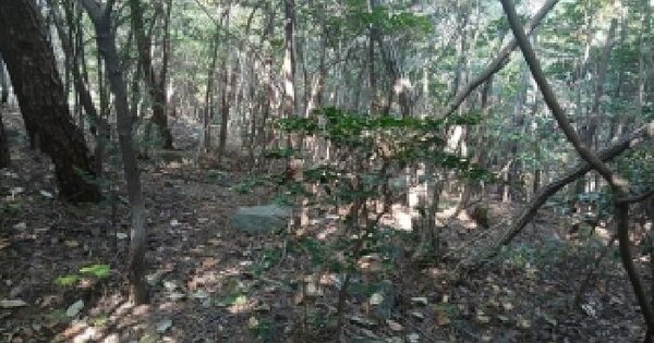 부산광역시 해운대구 좌동 산78-19 임야 경매 물건 이미지