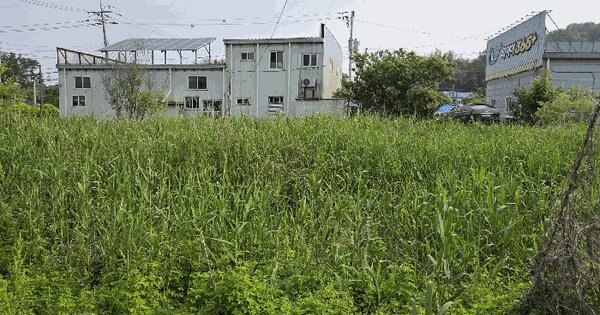 전북특별자치도 군산시 개정면 통사리 308-8 답 경매 물건 이미지