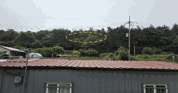 전북특별자치도 군산시 신관동 산14-11 임야 경매 물건 이미지