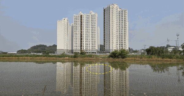전북특별자치도 군산시 개정면 통사리 229-27 답 경매 물건 이미지