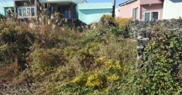 제주특별자치도 제주시 조천읍 함덕리 3186 대지 경매 물건 이미지