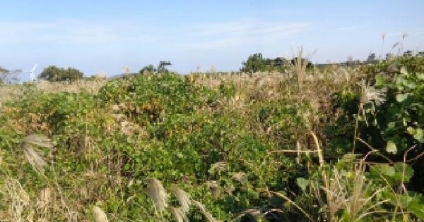 제주특별자치도 제주시 한경면 판포리 1585-1 전 경매 물건 이미지