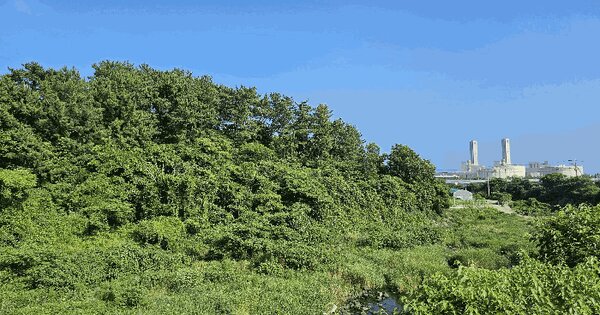 제주특별자치도 서귀포시 안덕면 감산리 1848 임야 경매 물건 이미지