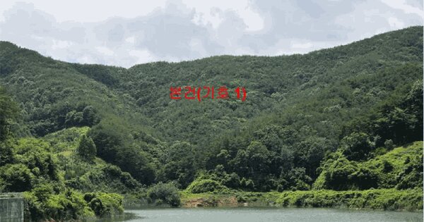 경상남도 합천군 삼가면 덕진리 산65 임야 경매 물건 이미지