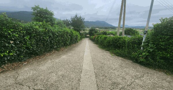 전라남도 해남군 삼산면 평활리 산124-21 도로 경매 물건 이미지