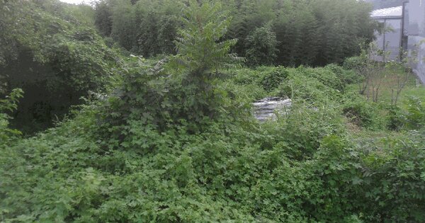 경상남도 밀양시 산외면 엄광리 646 전 경매 물건 이미지