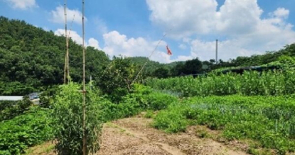 광주광역시 남구 도금동 산15 임야 경매 물건 이미지