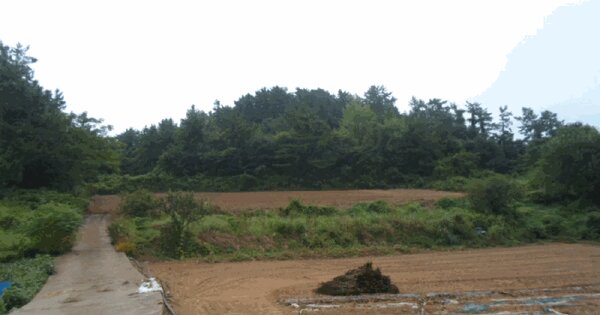 전라남도 해남군 문내면 서상리 114 전 경매 물건 이미지