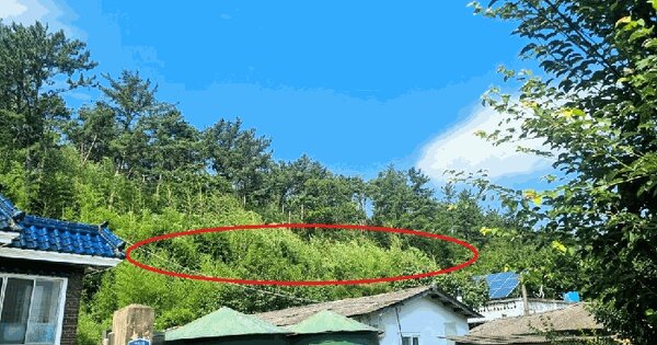 부산광역시 기장군 정관읍 임곡리 181 대지 경매 물건 이미지