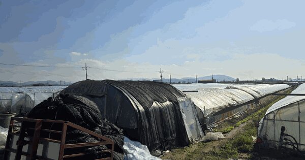 경상남도 밀양시 하남읍 수산리 111-2 답 경매 물건 이미지