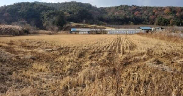 전북특별자치도 남원시 운봉읍 준향리 818-3 답 경매 물건 이미지