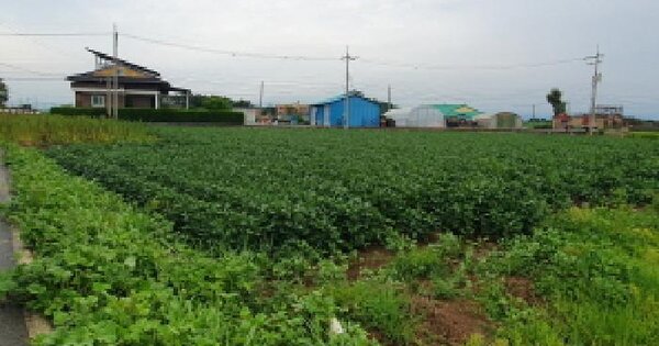 전북특별자치도 김제시 만경읍 화포리 219-2 답 경매 물건 이미지
