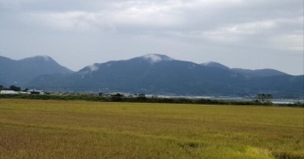전남광주통합특별시 보성군 벌교읍 고읍리 1530-11 답 경매 물건 이미지
