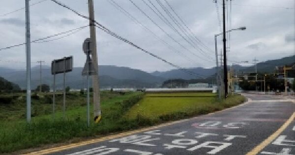 전남광주통합특별시 보성군 벌교읍 낙성리 85-10 답 경매 물건 이미지