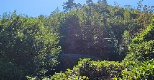 전남광주통합특별시 순천시 송광면 대흥리 648 답 경매 물건 이미지