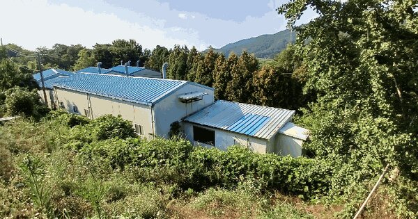 전라남도 담양군 고서면 고읍리 19-1  동물 및 식물 관련시설 경매 물건 이미지