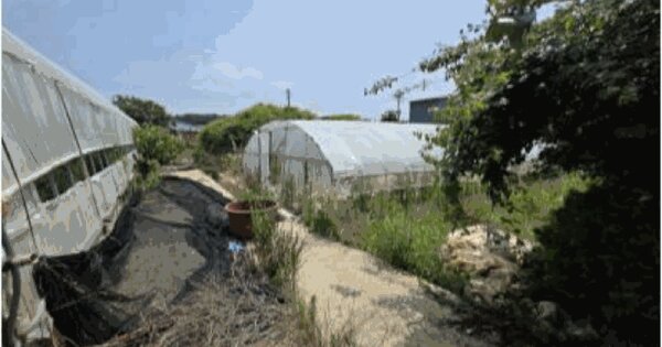 전라남도 해남군 황산면 관춘리 957-9 대지 경매 물건 이미지