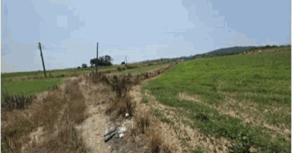전라남도 해남군 황산면 관춘리 903-8 전 경매 물건 이미지